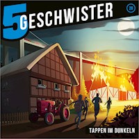 28: Tappen im Dunkeln - 5 Geschwister - Hörbuch