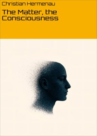 The Matter, the Consciousness - Christian Hermenau - E-Book