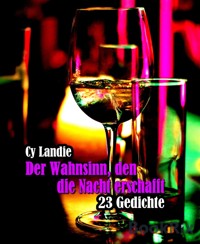 Der Wahnsinn, den die Nacht erschafft - Tom Schillerhof - E-Book