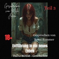 Entführung in ein neues Leben (Teil 3) - Mila Joleen - Hörbuch