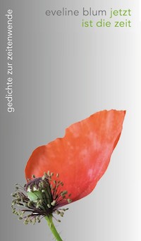 jetzt ist die zeit - Eveline Blum - E-Book