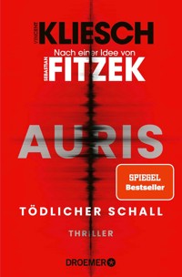 Tödlicher Schall - Vincent Kliesch - E-Book