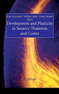Development and Plasticity in Sensory Thalamus and Cortex -  - E-Book