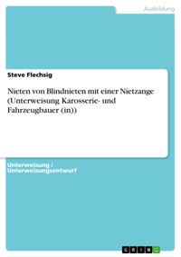 Nieten von Blindnieten mit einer Nietzange (Unterweisung Karosserie- und Fahrzeugbauer (in)) - Steve Flechsig - E-Book