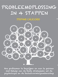 Probleemoplossing in 4 stappen - Stefano Calicchio - E-Book