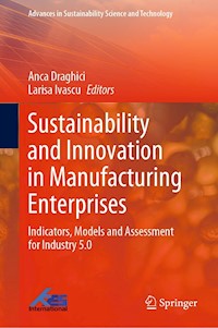 Sustainability and Innovation in Manufacturing Enterprises - - E-Book