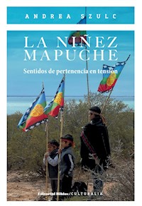 La niñez mapuche - Andrea Szulc - E-Book