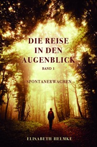 Die Reise in den Augenblick - Elisabeth Helmke - E-Book