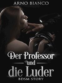 Der Professor und die Luder - Arno Bianco - E-Book
