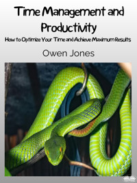 Time Management And Productivity - Owen Jones - E-Book
