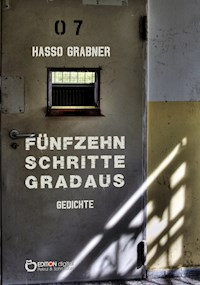 Fünfzehn Schritte gradaus - Hasso Grabner - E-Book