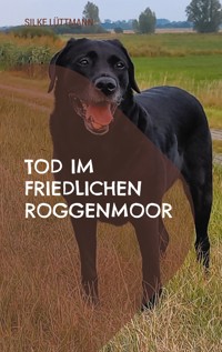 Tod im friedlichen Roggenmoor - Silke Lüttmann - E-Book