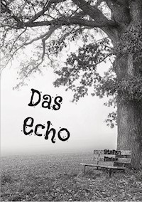 Das Echo - Stefan Meier - E-Book