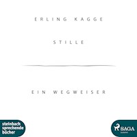 Stille - Ein Wegweiser (Ungekürzt) - Erling Kagge - Hörbuch