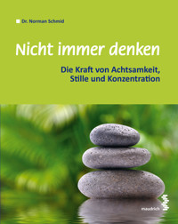 Nicht immer denken - Norman Schmid - E-Book