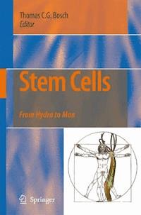 Stem Cells -  - E-Book
