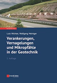 Verankerungen, Vernagelungen und Mikropfähle in der Geotechnik - Lutz Wichter - E-Book