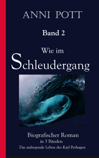 Wie im Schleudergang BAND 2 - Anni Pott - E-Book