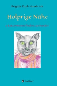 Holprige Nähe - Brigitte Paul-Hambrink - E-Book