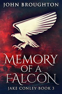 Memory Of A Falcon - John Broughton - E-Book