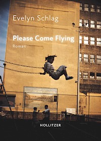 Please Come Flying - Evelyn Schlag - E-Book