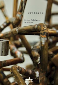 Drenajes - Diego Rodríguez Landeros - E-Book