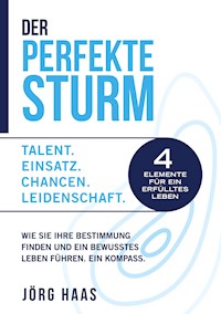 Der Perfekte Sturm - Jörg Haas - E-Book