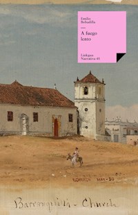 A fuego lento - Emilio Bobadilla - E-Book