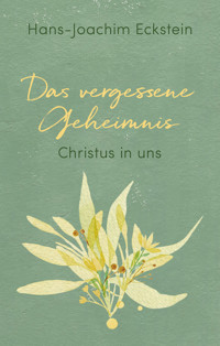 Das vergessene Geheimnis - Hans-Joachim Eckstein - E-Book
