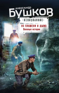 Из пламени и дыма. Военные истории - Александр Бушков - E-Book