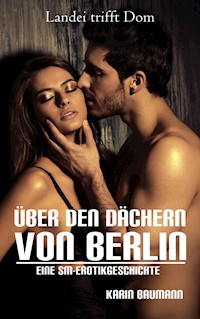 Über den Dächern von Berlin - Landei trifft Dom - Karin Baumann - E-Book