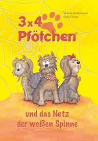 3x4 Pfötchen und das Netz der weißen Spinne - Marion Mollenhauer + Ingrid Siano - E-Book