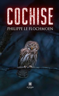 Cochise - Philippe le Flochmoen - E-Book