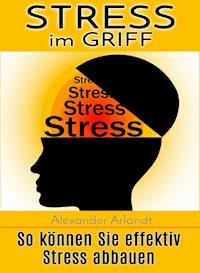 Stress im Griff - Alexander Arlandt - E-Book