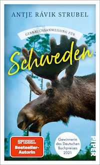 Gebrauchsanweisung für Schweden - Antje Rávik Strubel - E-Book