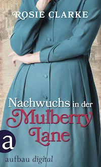 Nachwuchs in der Mulberry Lane - Rosie Clarke - E-Book
