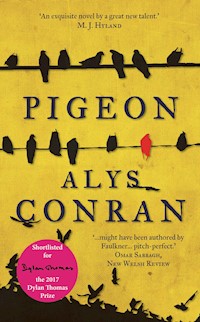 Pigeon - Alys Conran - E-Book