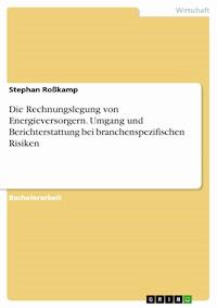 Die Rechnungslegung von Energieversorgern. Umgang und Berichterstattung bei branchenspezifischen Risiken - Stephan  Roßkamp - E-Book
