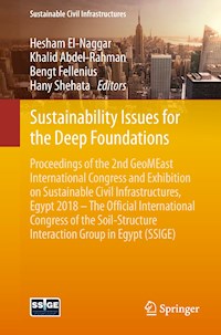 Sustainability Issues for the Deep Foundations -  - E-Book