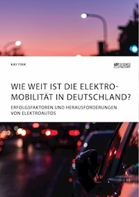 Wie weit ist die Elektromobilität in Deutschland? Erfolgsfaktoren und Herausforderungen von Elektroautos - Kay Fink - E-Book