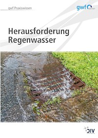 Herausforderung Regenwasser -  - E-Book
