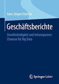 Geschäftsberichte - Hans Jürgen Etterich - E-Book