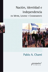 Nación, identidad e independencia - Pablo Andrés Chami - E-Book