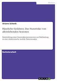 Häusliche Gefahren. Das Sturzrisiko von alleinlebenden Senioren - Ariane Schenk - E-Book