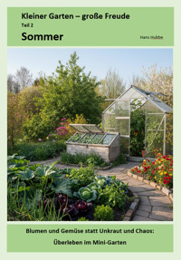 Sommer - Hans Hubbe - E-Book