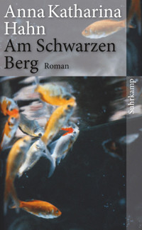 Am Schwarzen Berg - Anna Katharina Hahn - E-Book