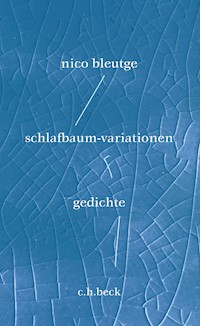 schlafbaum-variationen - Nico Bleutge - E-Book