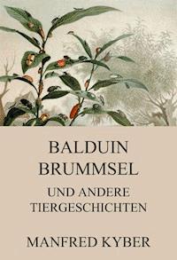 Balduin Brummsel und andere Tiergeschichten - Manfred Kyber - E-Book