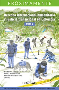 Derecho internacional humanitario tomo V - Varios autores - E-Book