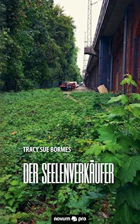 Der Seelenverkäufer - Tracy Sue Bormes - E-Book